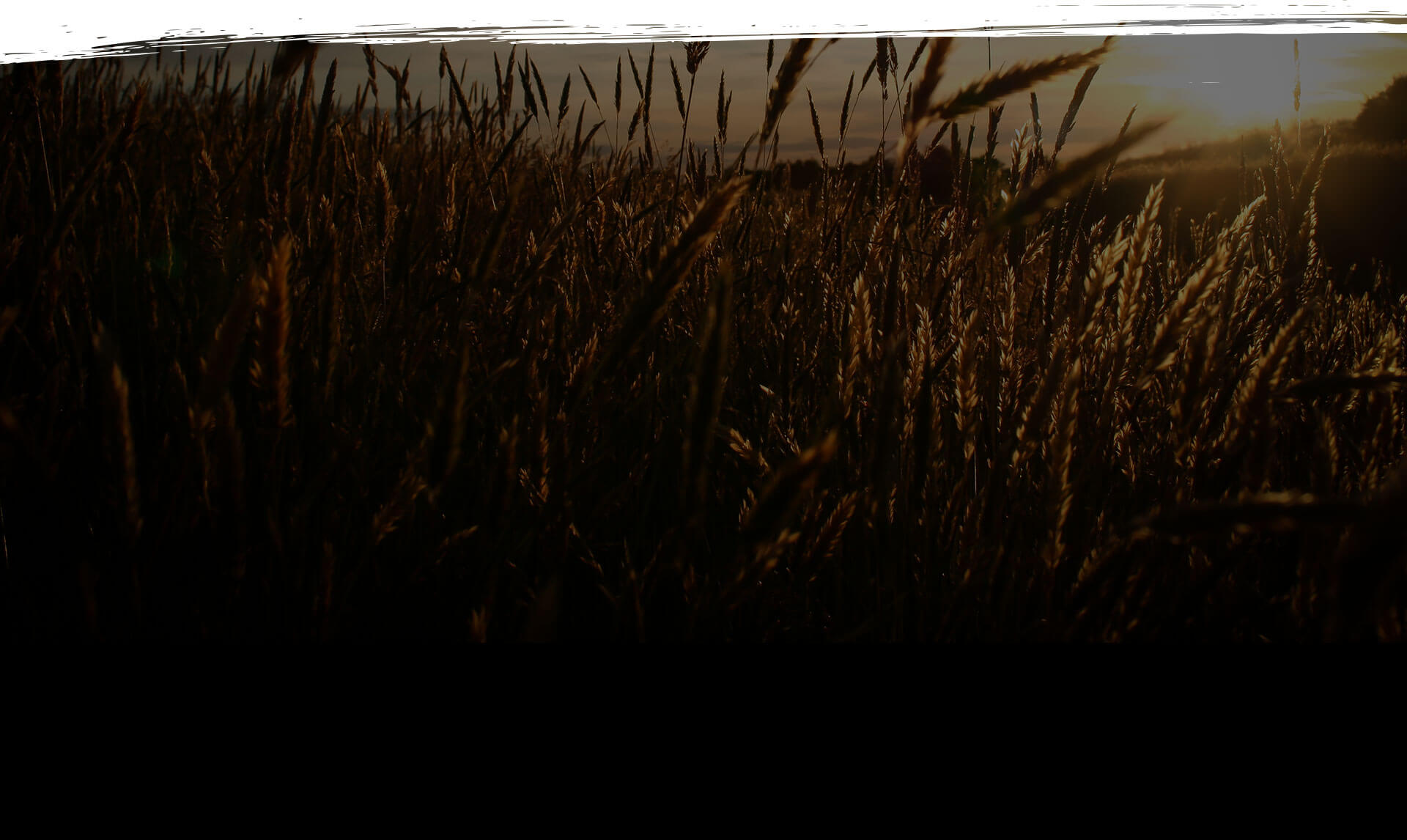 parallax background