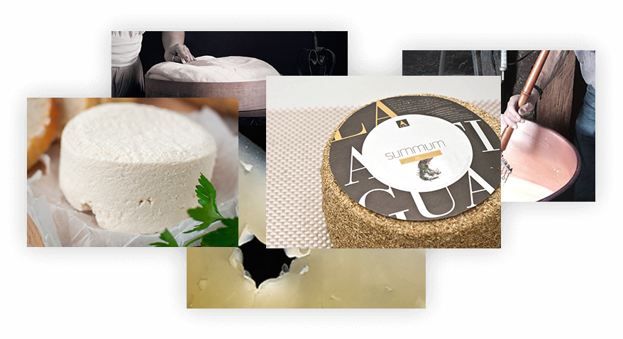Nos fromages